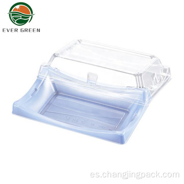 Bluetakeaway Sushi Container Caja de alimentos de plástico Sirviendo bandejas